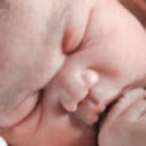 Meet your Posher, Grayson